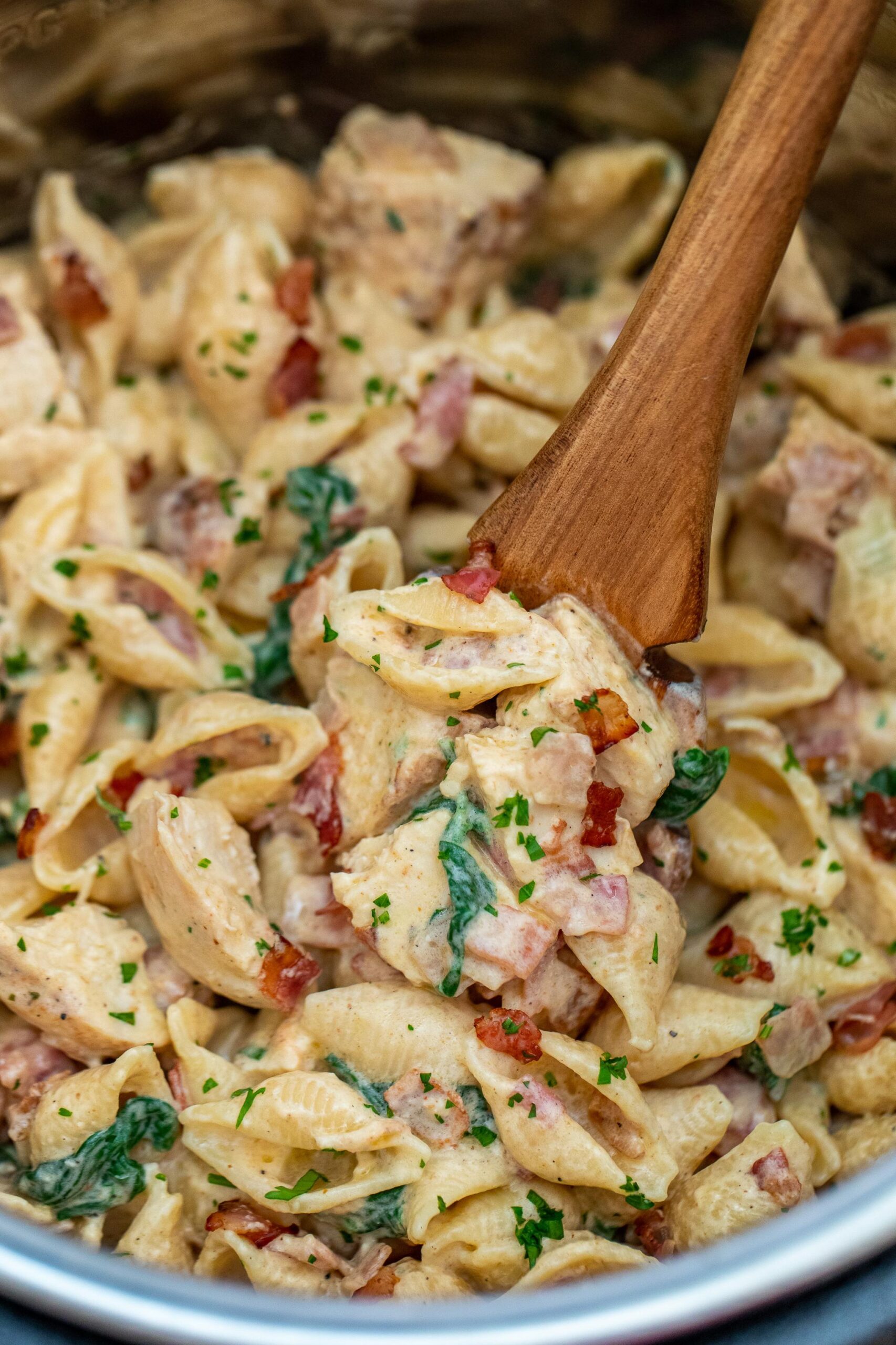  Creamy pasta with tender chicken and crispy bacon bites