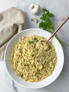 Instant Pot Orzo With Cheese Sauce